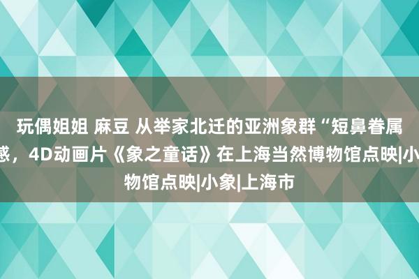 玩偶姐姐 麻豆 从举家北迁的亚洲象群“短鼻眷属”得到灵感，4D动画片《象之童话》在上海当然博物馆点映|小象|上海市