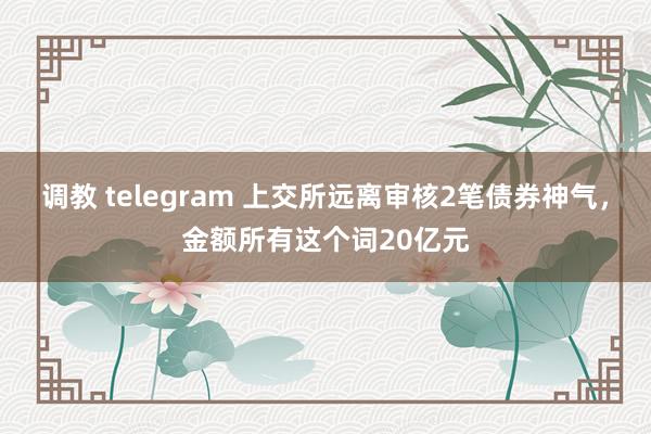 调教 telegram 上交所远离审核2笔债券神气，金额所有这个词20亿元