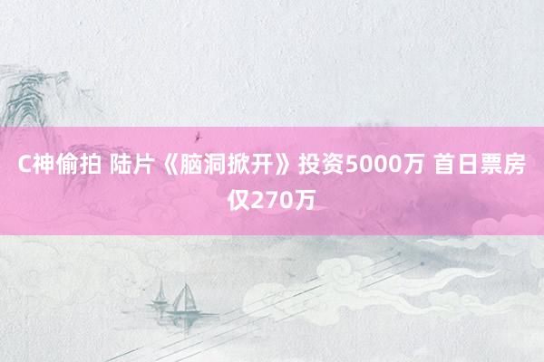 C神偷拍 陆片《脑洞掀开》投资5000万 首日票房仅270万