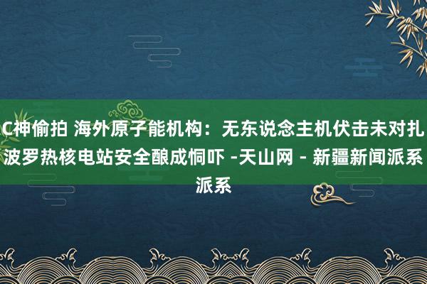 C神偷拍 海外原子能机构：无东说念主机伏击未对扎波罗热核电站安全酿成恫吓 -天山网 - 新疆新闻派系