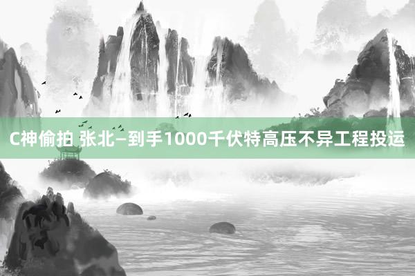 C神偷拍 张北—到手1000千伏特高压不异工程投运