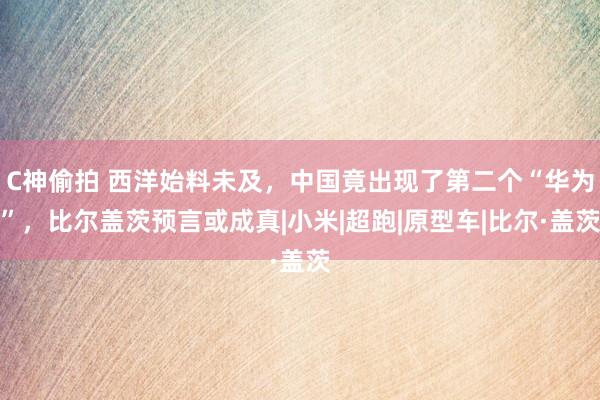 C神偷拍 西洋始料未及，中国竟出现了第二个“华为”，比尔盖茨预言或成真|小米|超跑|原型车|比尔·盖茨