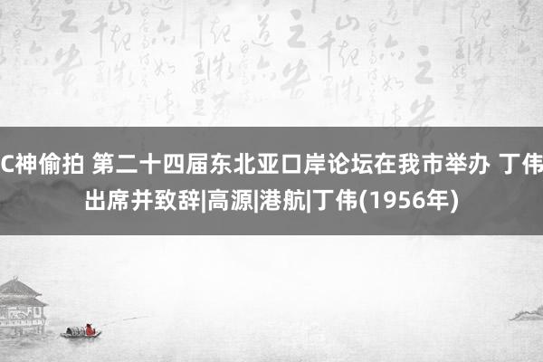 C神偷拍 第二十四届东北亚口岸论坛在我市举办 丁伟出席并致辞|高源|港航|丁伟(1956年)