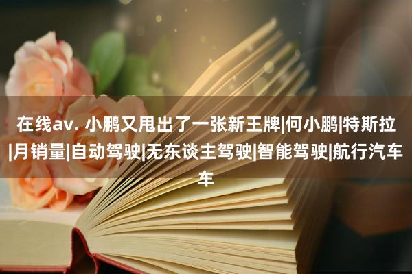 在线av. 小鹏又甩出了一张新王牌|何小鹏|特斯拉|月销量|自动驾驶|无东谈主驾驶|智能驾驶|航行汽车