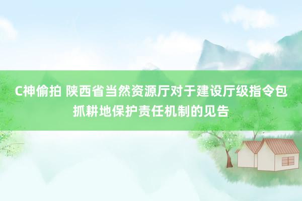 C神偷拍 陕西省当然资源厅对于建设厅级指令包抓耕地保护责任机制的见告